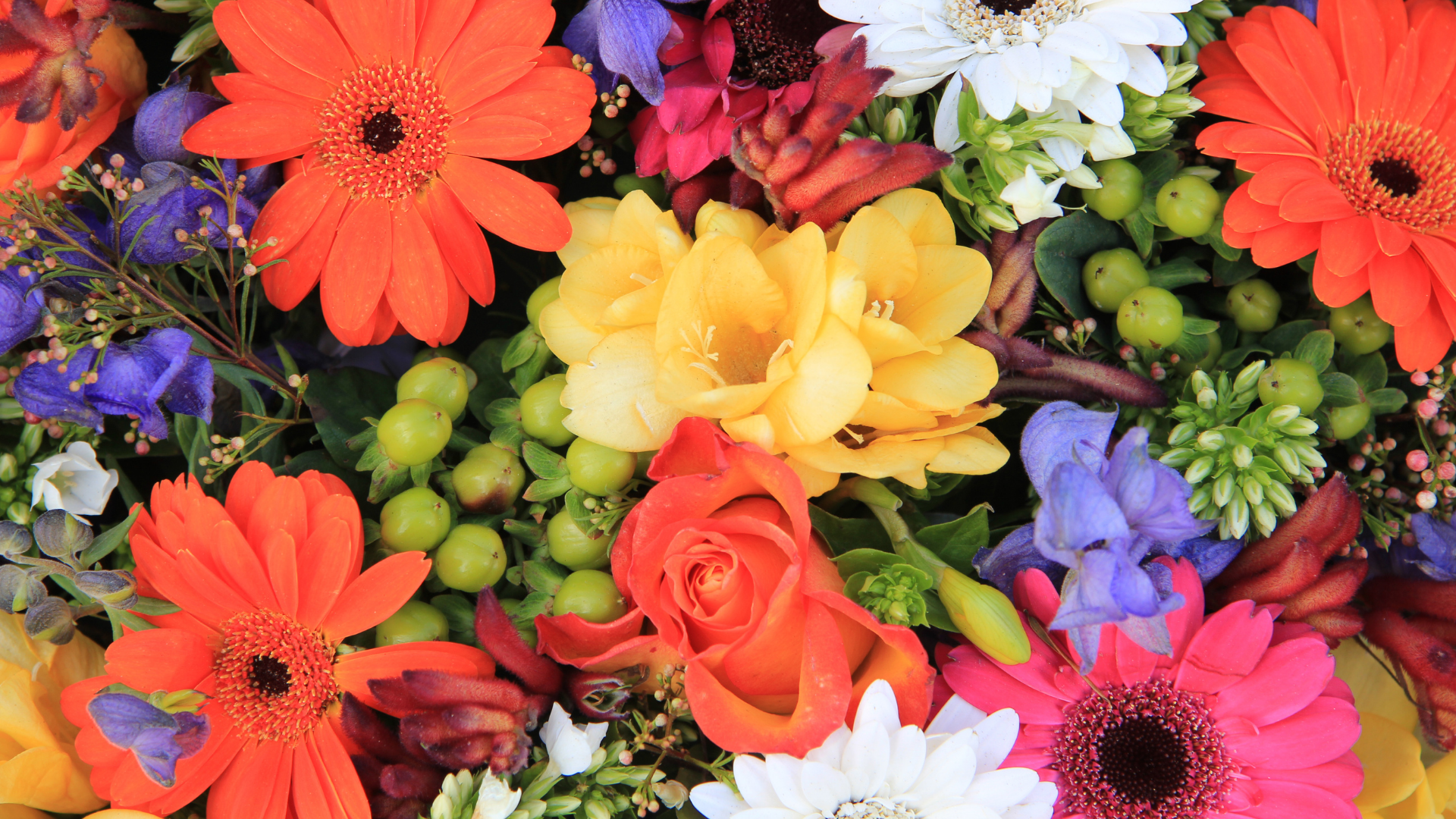 An image of various different kinds of fresh flowers to make up a floral arrangement. 