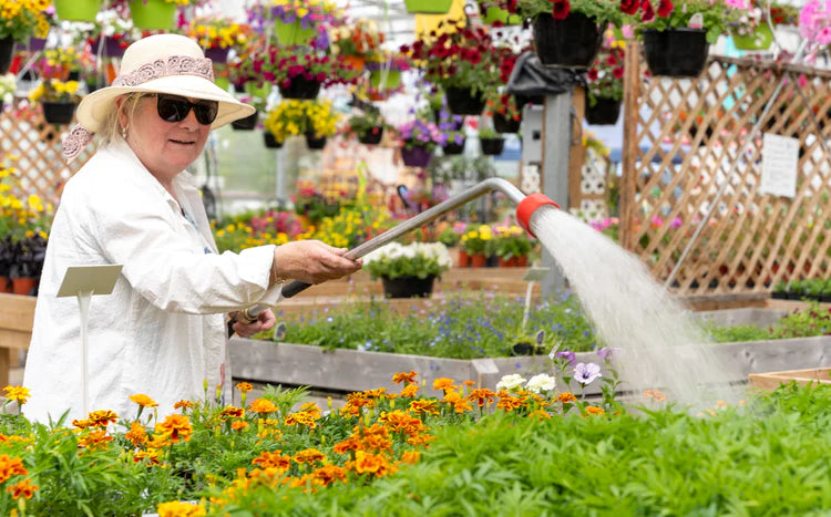 Elaine is watering flowers inside Hickey's Greenhouses in Kelligrews, NL.